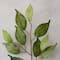 23" Ficus Spray Floral Essentials by Ashland®